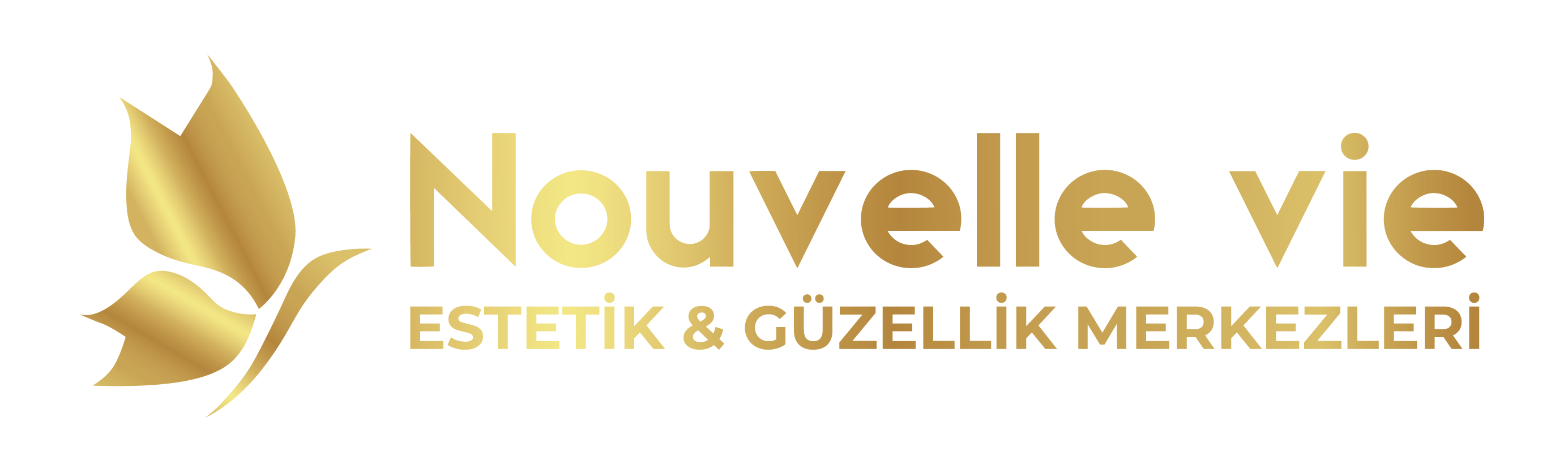 Nouvelle Vie Logo